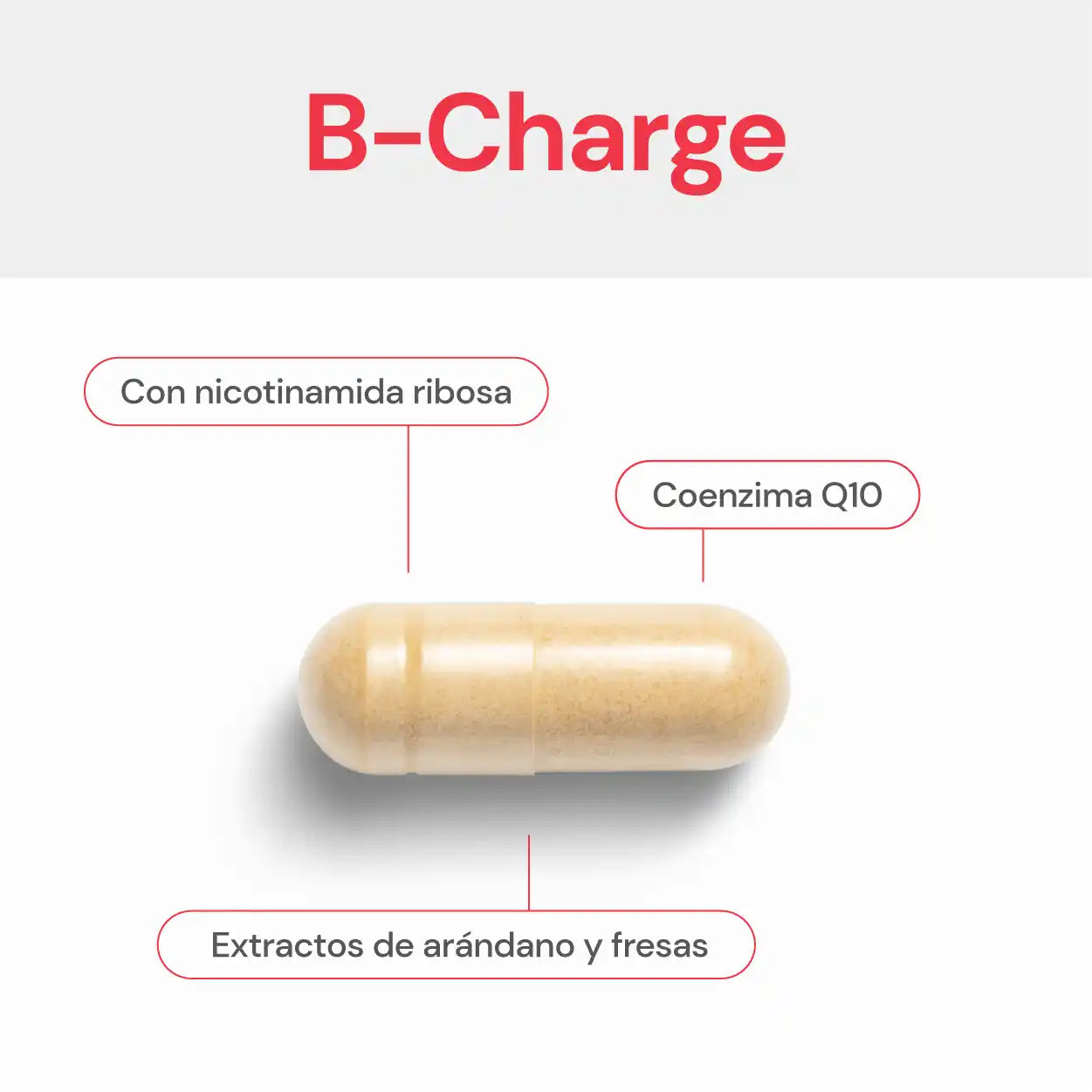 B-Charge | Cápsula con coenzima Q10 y vitamina C de alta biodisponibilidad