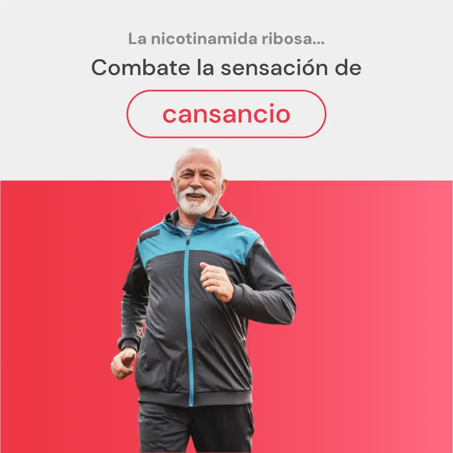 B-Charge | Combate el cansancio físico y mental de forma natural