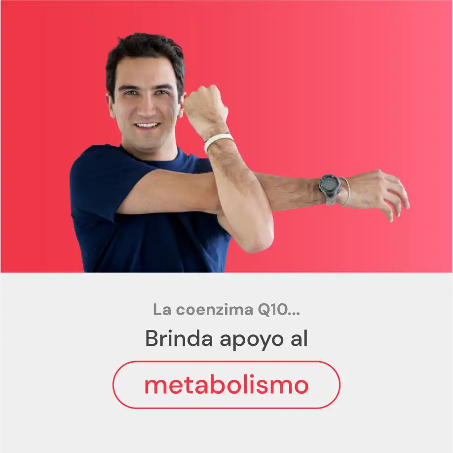 B-Charge | Brinda apoyo al metabolismo con ingredientes funcionales