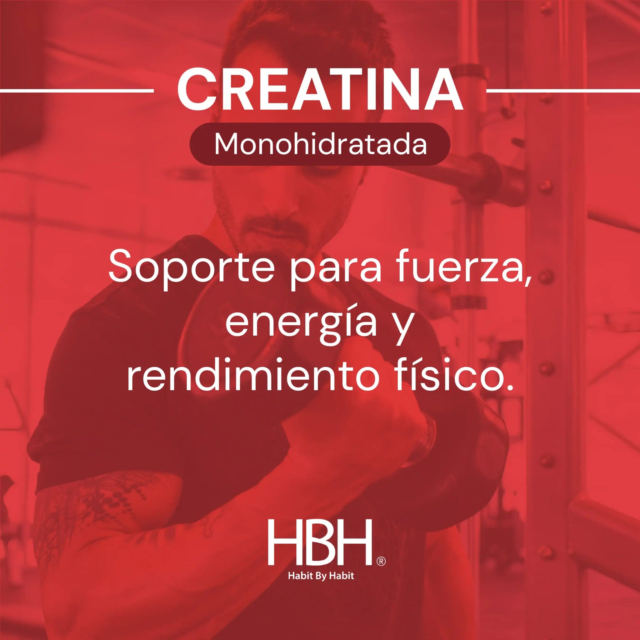 HBH Suplementos Creatina Monohidratada de Alta Pureza con 5 g por porción, Apoyo a la Función Física y Disponibilidad Energética, Sin Sabor, 500 g, 100 porciones - HBH