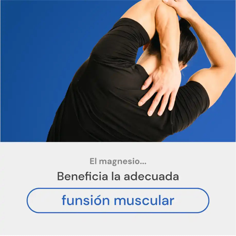 Función muscular saludable con Magion 360