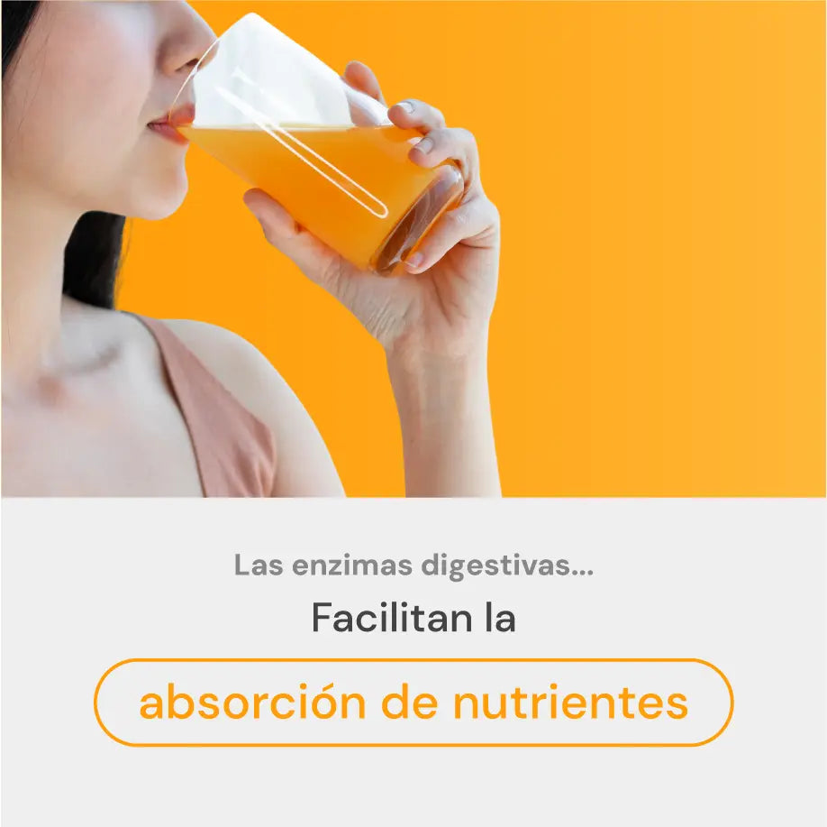 optizyme absorción de nutrientes para salud digestiva