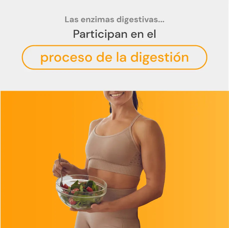 optizyme apoyo a la digestión natural del organismo