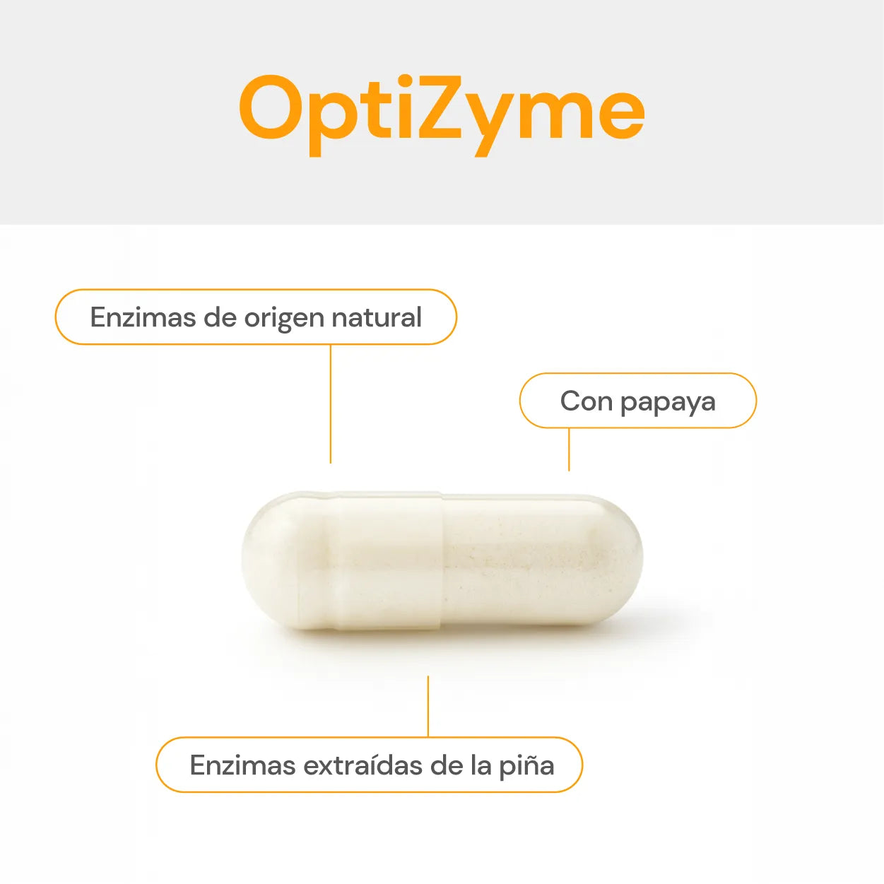 optizyme cápsula con composición de ingredientes enzimáticos