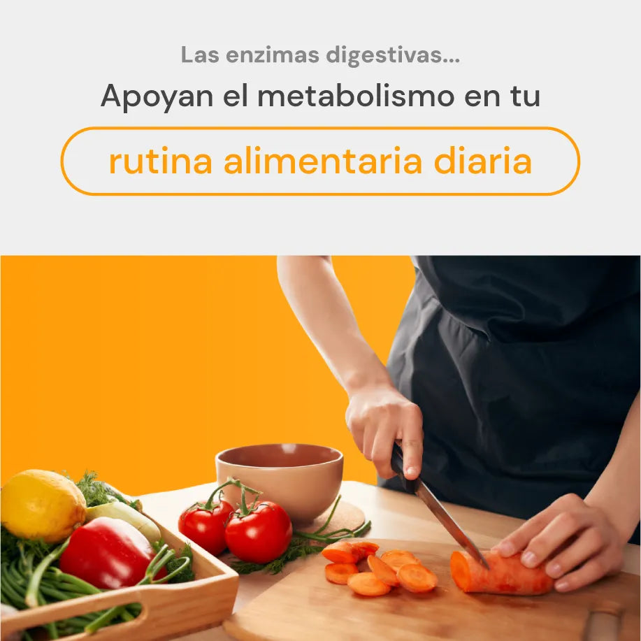 optizyme apoyo al metabolismo y nutrición diaria